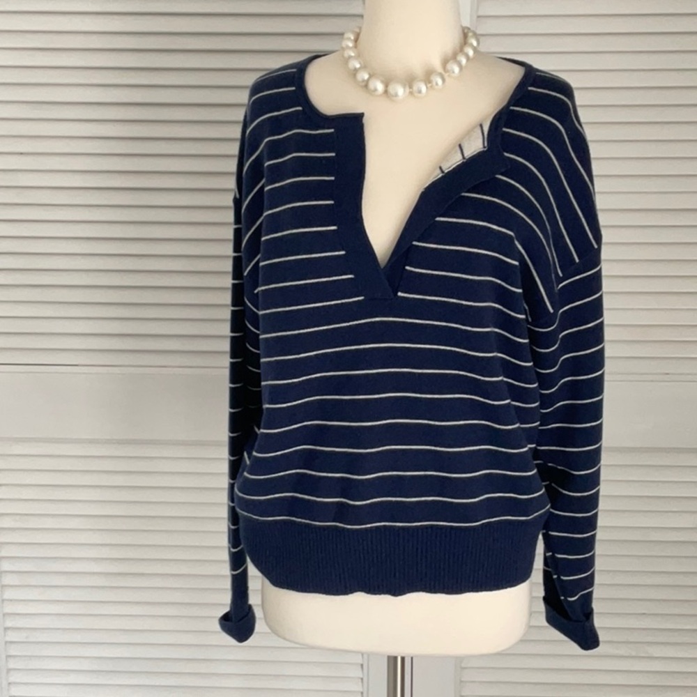 Everlane Blue V-Neck Sweater with Stripes